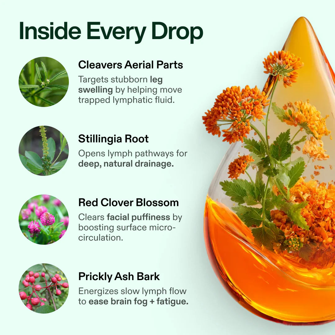 LABLII Lymphatic Drainage