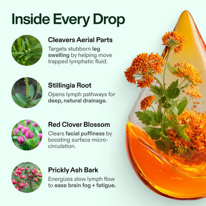 LABLII Lymphatic Drainage